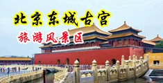 小骚屄被日的潮吹中国北京-东城古宫旅游风景区